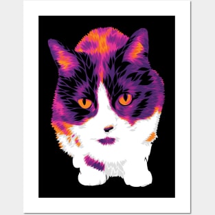 The Hot Color Cat Posters and Art